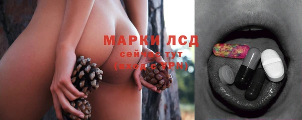 ECSTASY Алзамай