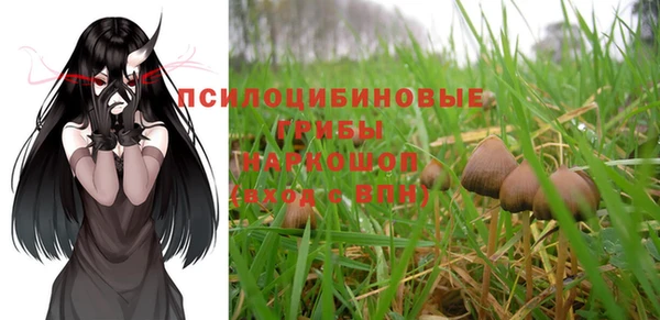 эйфоретик Алексеевка